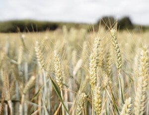 欧国联比赛:塞浦路斯队迎来俄罗斯队的挑战