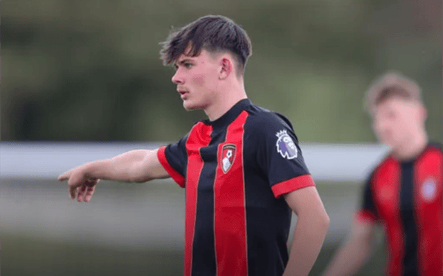 九游体育在线登录-包含伯恩茅斯客场表现出色，赛季大步前进的词条