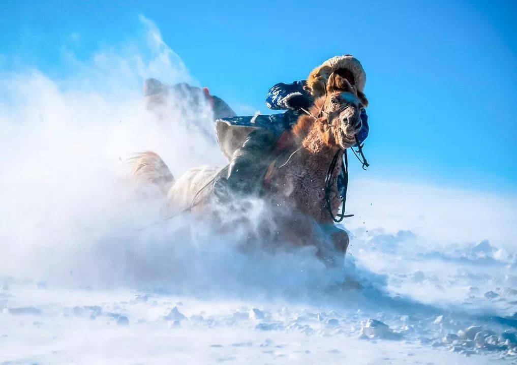 九游体育官方登录入口-蒙古队选手表现出色，勇往直前的简单介绍