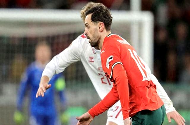 九游体育在线-丹麦队惊艳表现，成功晋级半决赛