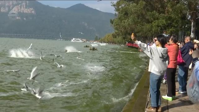 九游体育在线登录-昆明海埂球场观众热情高涨，助威声不断